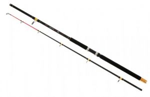Mikado cat fish 210 up to 300 g